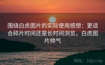 围绕白虎图片的实际使用感想：更适合碎片时间还是长时间浏览，白虎图片帅气