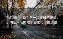 白虎图片｜新手第一次接触的记录：长期使用后的效率变化与习惯调整