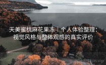 天美蜜桃麻花果冻｜个人体验整理：视觉风格与整体观感的真实评价