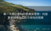 第一次用白虎91时的真实感受：内容更新频率与实际可用性的观察