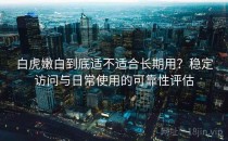 白虎嫩白到底适不适合长期用？稳定访问与日常使用的可靠性评估