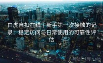 白虎自扣在线｜新手第一次接触的记录：稳定访问与日常使用的可靠性评估