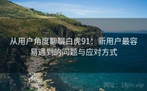从用户角度聊聊白虎91：新用户最容易遇到的问题与应对方式