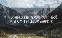 第一次用白虎自扣在线时的真实感受：不同入口下的体验差异与变化
