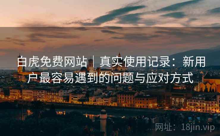 白虎免费网站|真实使用记录:新用户最容易遇到的问题与应对方式 第2张 白虎免费网站|真实使用记录:新用户最容易遇到的问题与应对方式 第2张