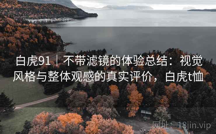 白虎91｜不带滤镜的体验总结：视觉风格与整体观感的真实评价，白虎t恤  第2张