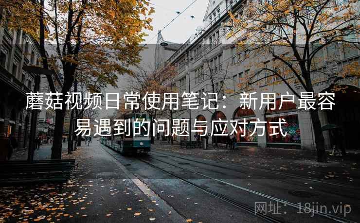蘑菇视频日常使用笔记：新用户最容易遇到的问题与应对方式  第2张