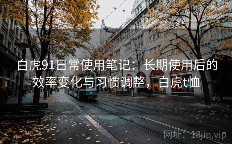 白虎91日常使用笔记：长期使用后的效率变化与习惯调整，白虎t恤  第1张