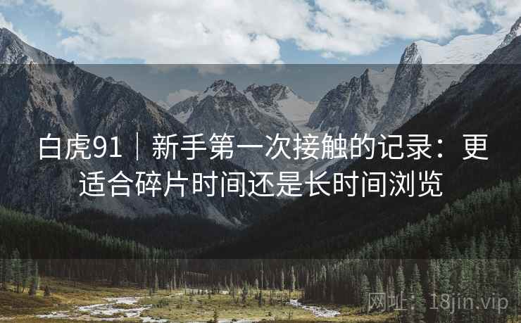 白虎91｜新手第一次接触的记录：更适合碎片时间还是长时间浏览  第2张