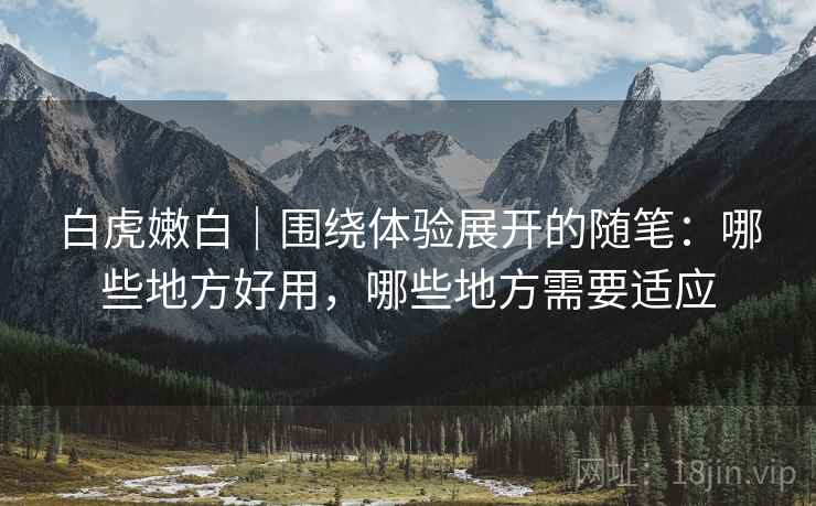 白虎嫩白｜围绕体验展开的随笔：哪些地方好用，哪些地方需要适应  第2张