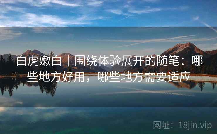 白虎嫩白｜围绕体验展开的随笔：哪些地方好用，哪些地方需要适应  第1张
