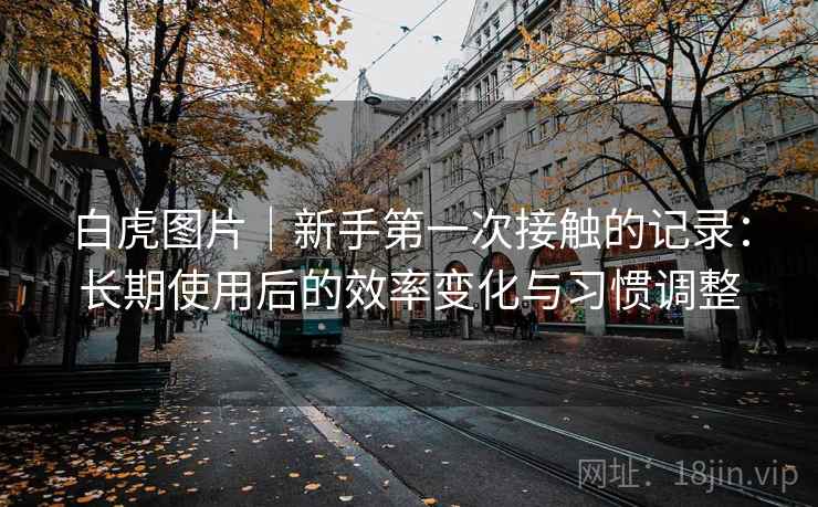 白虎图片｜新手第一次接触的记录：长期使用后的效率变化与习惯调整  第1张