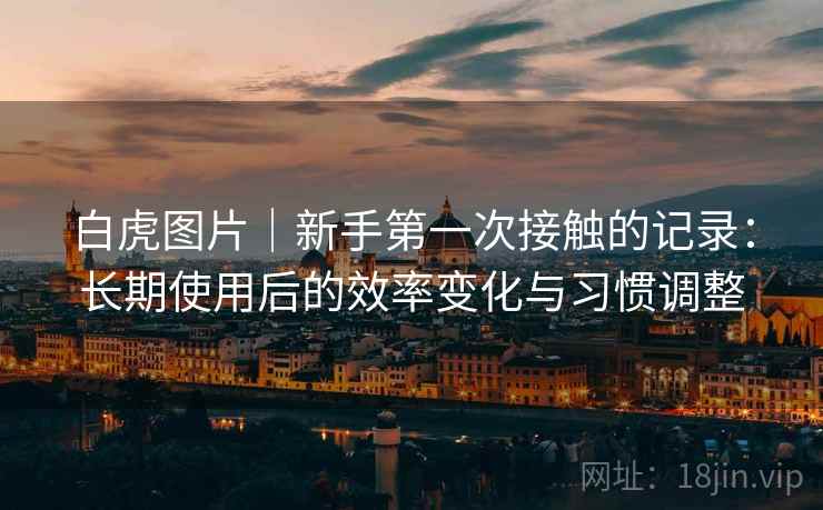 白虎图片｜新手第一次接触的记录：长期使用后的效率变化与习惯调整  第2张
