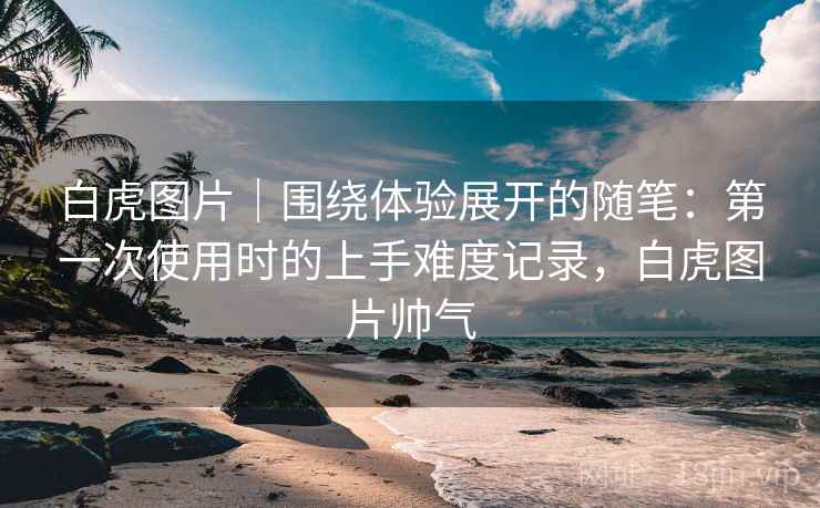 白虎图片｜围绕体验展开的随笔：第一次使用时的上手难度记录，白虎图片帅气  第2张