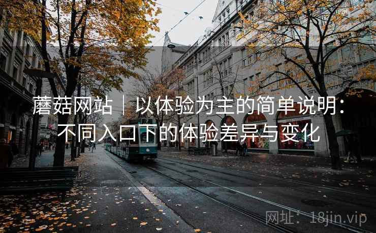 蘑菇网站｜以体验为主的简单说明：不同入口下的体验差异与变化  第2张