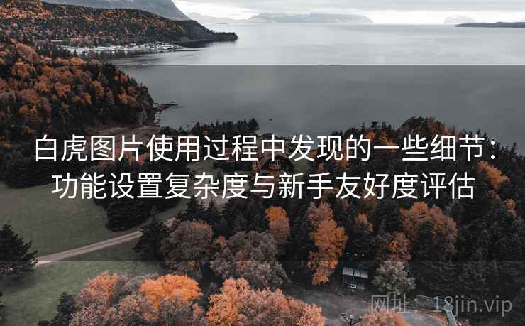 白虎图片使用过程中发现的一些细节：功能设置复杂度与新手友好度评估  第2张