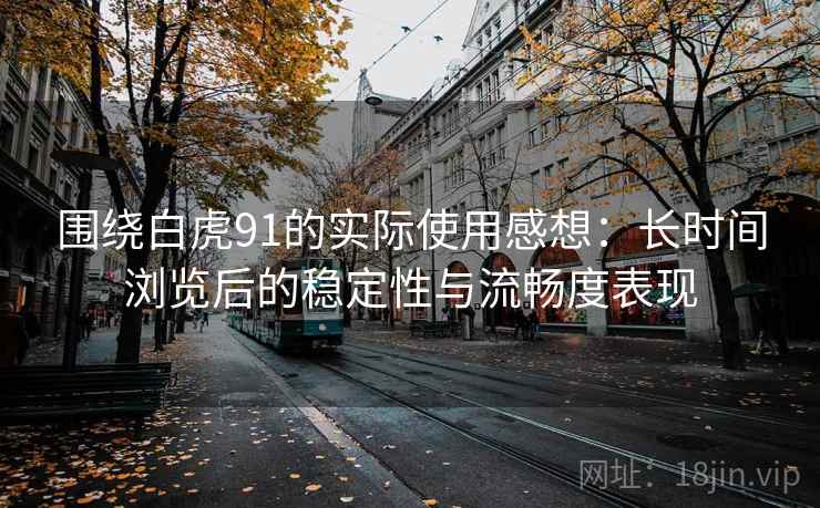 围绕白虎91的实际使用感想：长时间浏览后的稳定性与流畅度表现  第1张