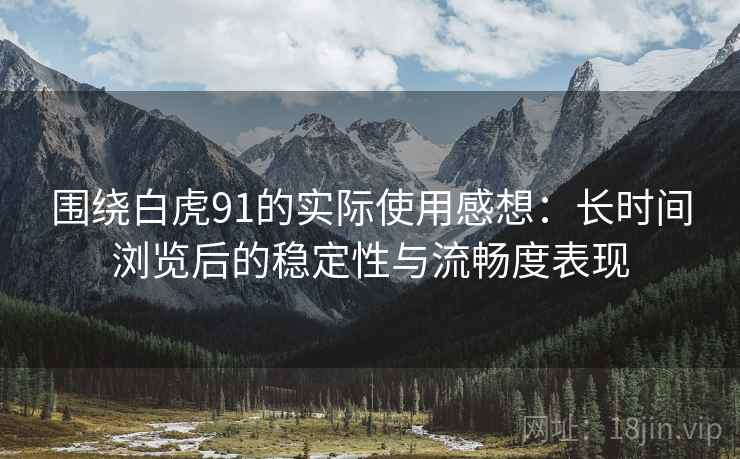 围绕白虎91的实际使用感想：长时间浏览后的稳定性与流畅度表现  第2张