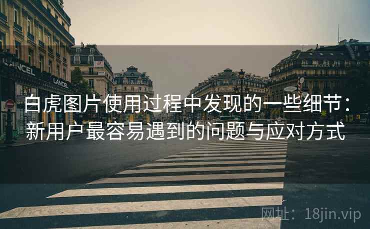 白虎图片使用过程中发现的一些细节:新用户最容易遇到的问题与应对方式 第1张 白虎图片使用过程中发现的一些细节:新用户最容易遇到的问题与应对方式 第1张