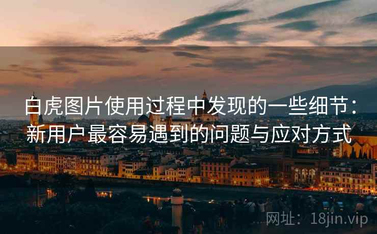 白虎图片使用过程中发现的一些细节:新用户最容易遇到的问题与应对方式 第2张 白虎图片使用过程中发现的一些细节:新用户最容易遇到的问题与应对方式 第2张
