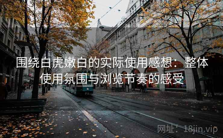 围绕白虎嫩白的实际使用感想:整体使用氛围与浏览节奏的感受 第2张 围绕白虎嫩白的实际使用感想:整体使用氛围与浏览节奏的感受 第2张