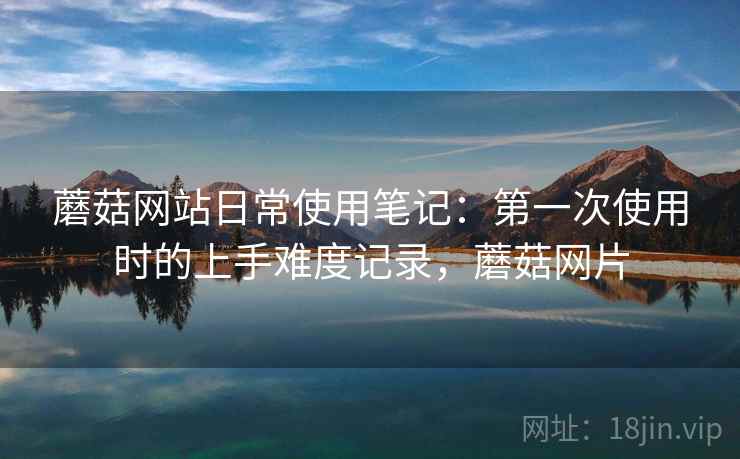 蘑菇网站日常使用笔记:第一次使用时的上手难度记录,蘑菇网片 第1张 蘑菇网站日常使用笔记:第一次使用时的上手难度记录,蘑菇网片 第1张