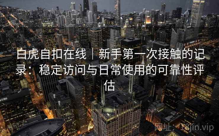 白虎自扣在线｜新手第一次接触的记录：稳定访问与日常使用的可靠性评估  第2张