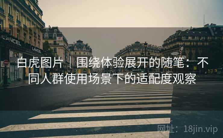 白虎图片｜围绕体验展开的随笔：不同人群使用场景下的适配度观察  第2张