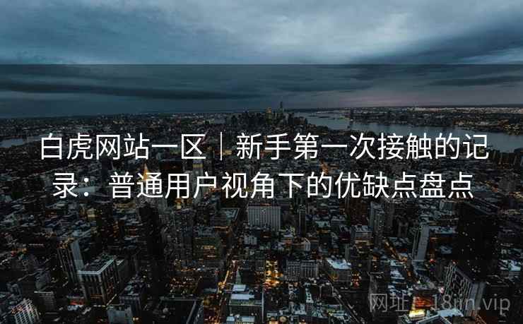 白虎网站一区｜新手第一次接触的记录：普通用户视角下的优缺点盘点  第1张