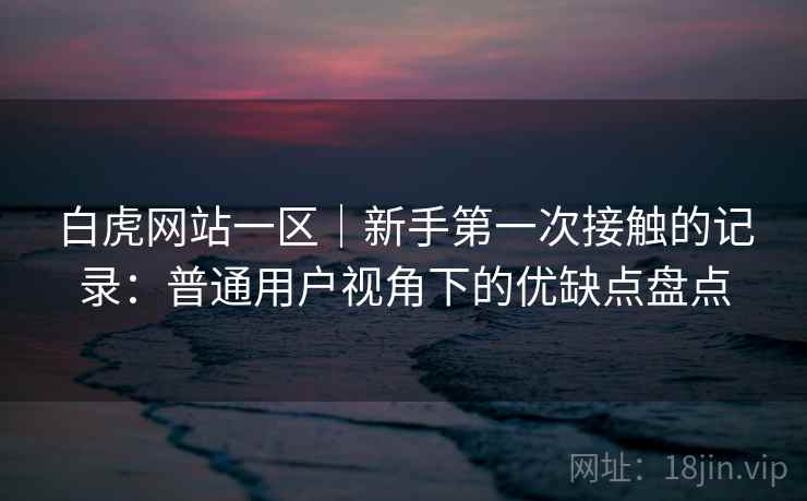 白虎网站一区｜新手第一次接触的记录：普通用户视角下的优缺点盘点  第2张